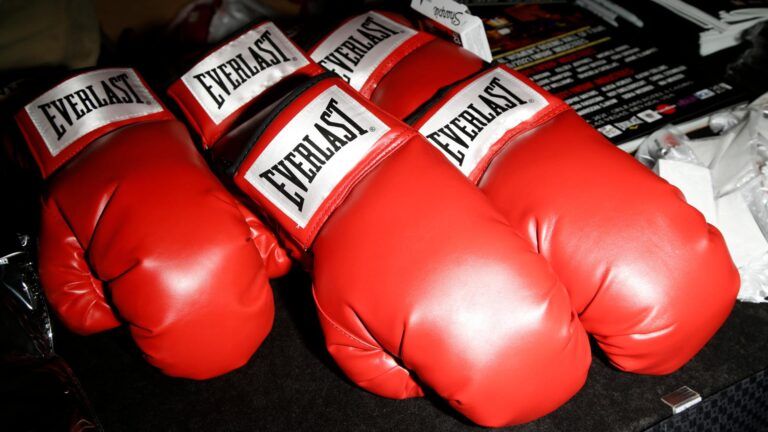 everlast boxing gloves